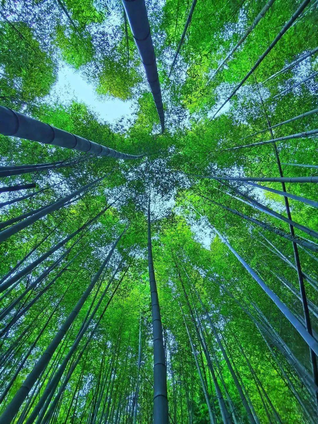 皇冠登一登二登三区别_【广州周边游】从化十登·鸡枕山皇冠登一登二登三区别,一鸣惊人—登广州第二高峰