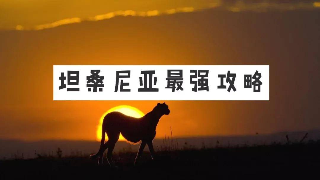 皇冠信用盘登123出租_看这一篇就够了!史上最好最详细深度的坦桑尼亚旅行攻略皇冠信用盘登123出租,没有之一