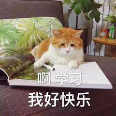 皇冠信用网如何注册_个人可以注册ASN吗皇冠信用网如何注册?如何注册?