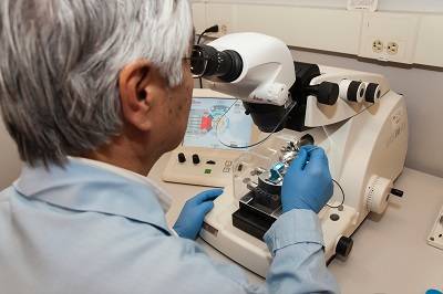 皇冠信用网代理注册_FDA DMF注册的代理要求皇冠信用网代理注册?