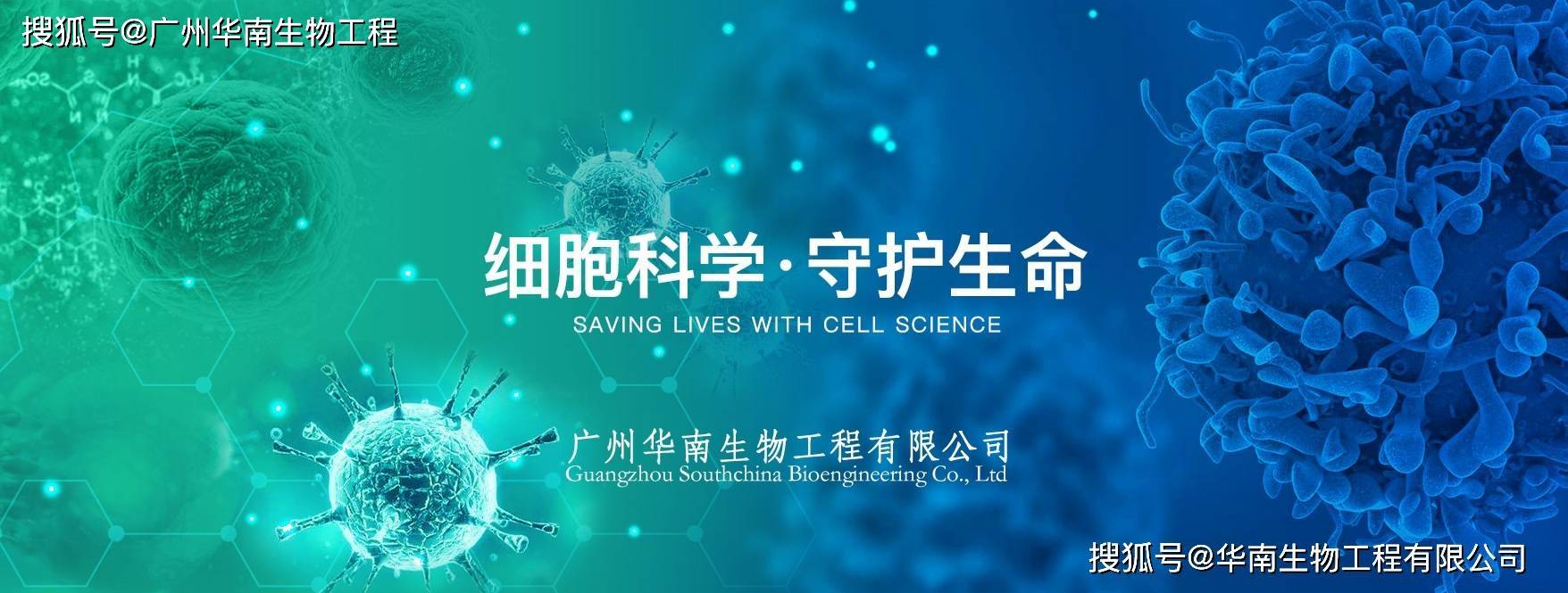 皇冠登1登2登3申请_登革病毒抗原NS1、登革IgG/IgM抗体检测试剂盒(胶体金法)