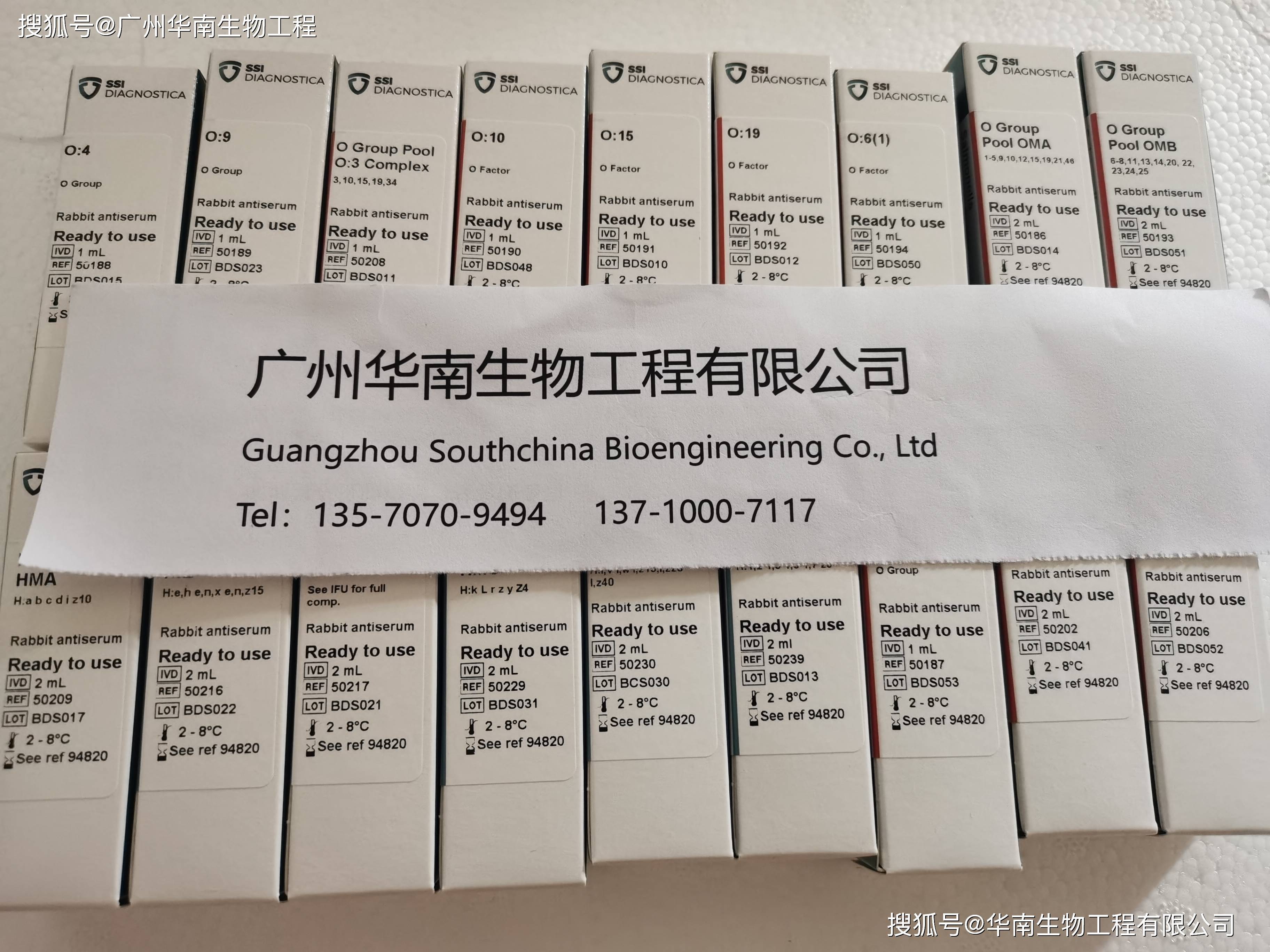 皇冠登1登2登3申请_登革病毒抗原NS1、登革IgG/IgM抗体检测试剂盒(胶体金法)