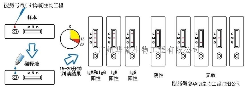 皇冠登1登2登3申请_登革病毒抗原NS1、登革IgG/IgM抗体检测试剂盒(胶体金法)