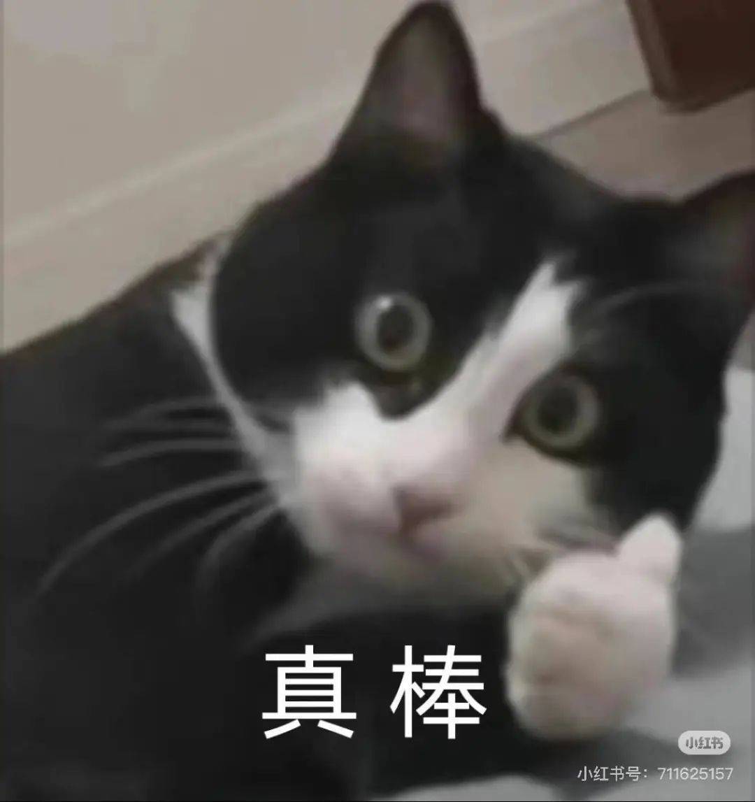皇冠信用网结算日_断崖式暴跌皇冠信用网结算日!这波太猛!杭州人挺住了