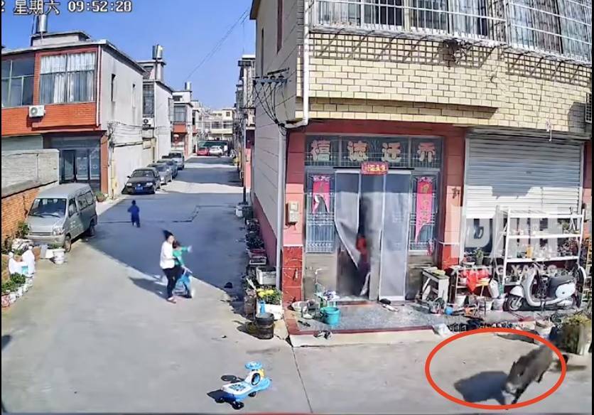皇冠信用网在线开户_不是上海皇冠信用网在线开户!不是上海!不是上海!最新:已被特警击毙