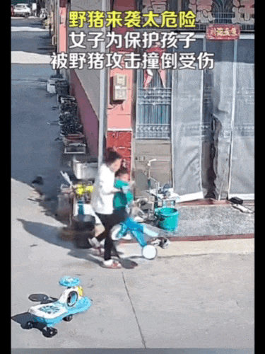 皇冠信用网在线开户_不是上海皇冠信用网在线开户!不是上海!不是上海!最新:已被特警击毙