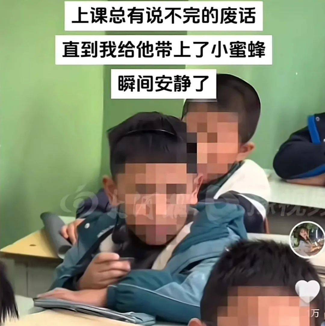 如何代理皇冠信用盘_给学生戴“小蜜蜂”的老师:已离职