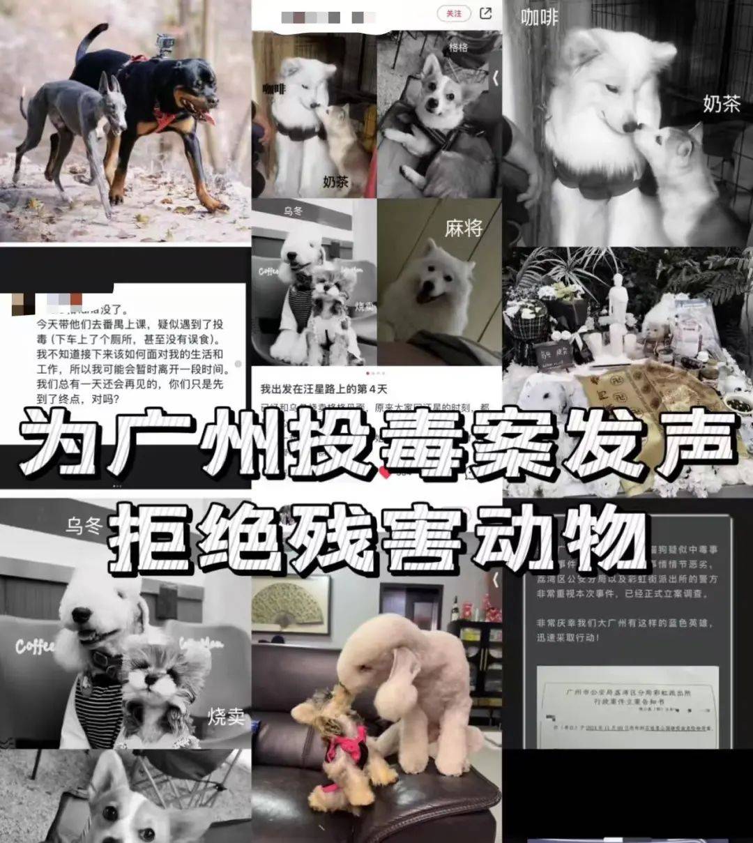 皇冠足球管理平台出租_“死亡数据仍在上升”皇冠足球管理平台出租!广州警方介入