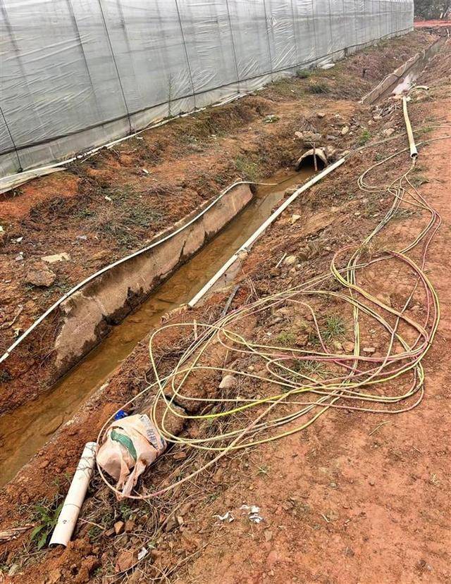 皇冠信用网会员申请_长沙一男子在辣椒基地遭电击身亡皇冠信用网会员申请,官方:属意外,正协调善后