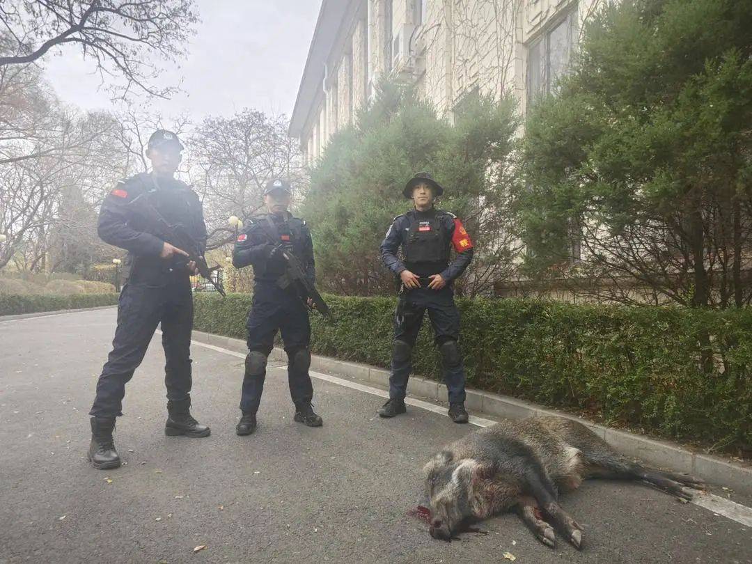 信用网皇冠申请注册_下午信用网皇冠申请注册,一宾馆附近,3名特警连开7枪,当场击毙