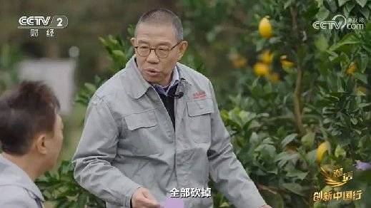 Buy basketball platform_2024年末央视再度专访钟睒睒Buy basketball platform,背后有何深意?