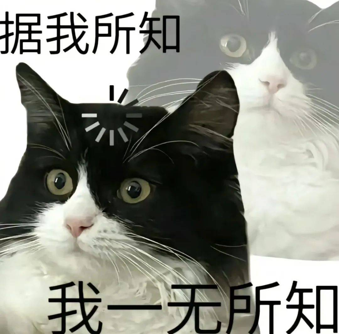 How to register credit network_当场昏迷!深圳一男子骑电动车How to register credit network,撞上搅拌车!交警发现......