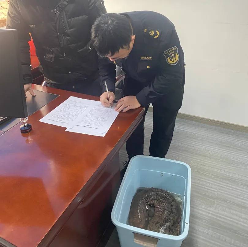 女好世界杯足球赛2026赛程表格_上海市民报警!突然发现“怪鱼”:长1米女好世界杯足球赛2026赛程表格,还有脚……一查身份不一般
