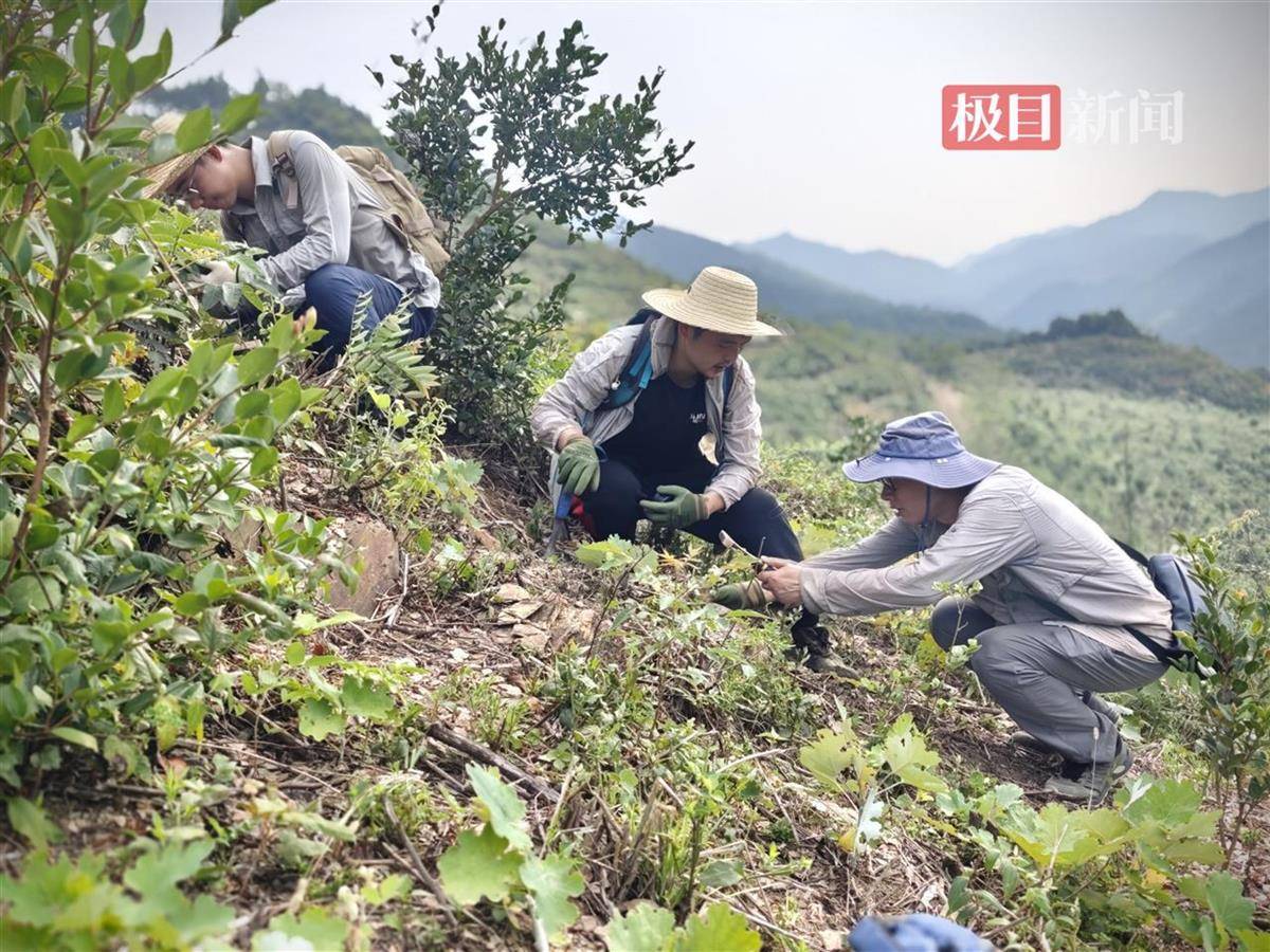 皇冠信用开号_十大进展皇冠信用开号!湖北地质探明恩施4000亿立方页岩气资源