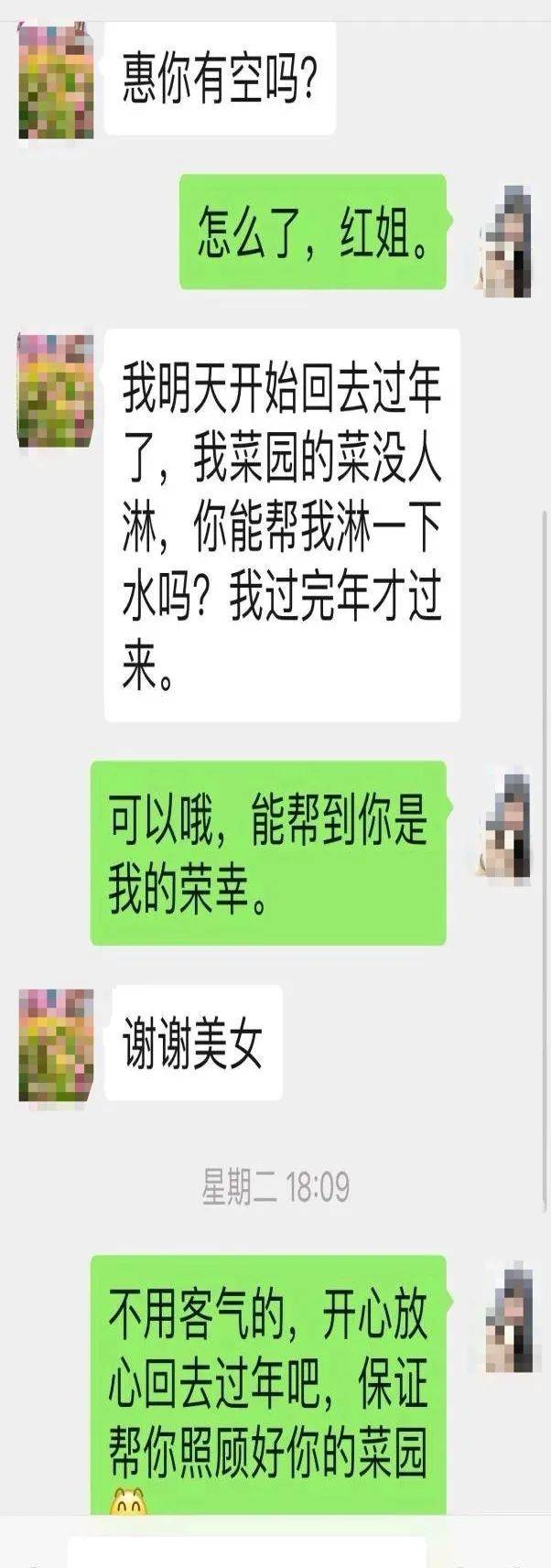 皇冠信用网出租代理_深圳一市民回乡皇冠信用网出租代理,菜地无人打理,网格员:放心回去过年