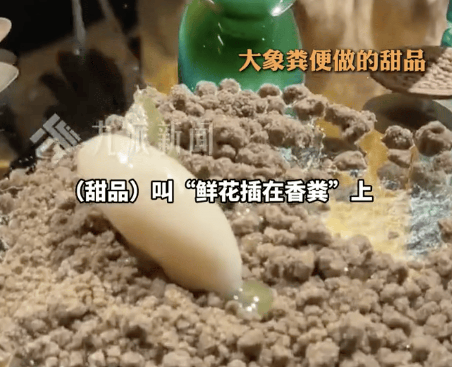 中北美洲及加勒比海冠军賽
_上海一人均近4千餐厅让食客啃树叶、品尝大象粪便中北美洲及加勒比海冠军賽
!员工:创始人研究了7年
