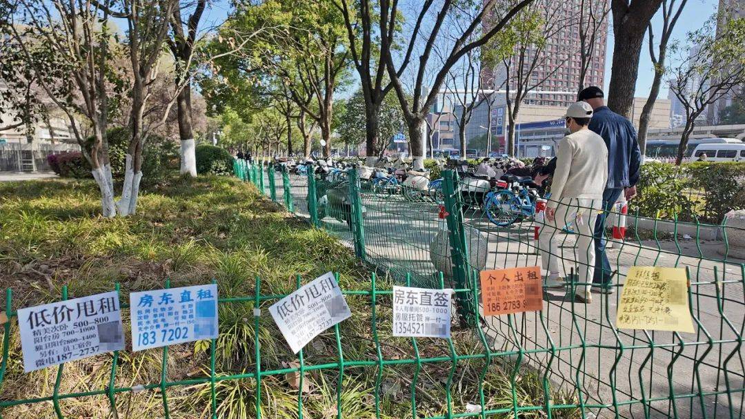 皇冠信用盘代理申条件
_一二线城市房租普降皇冠信用盘代理申条件
,房东主动降200留我