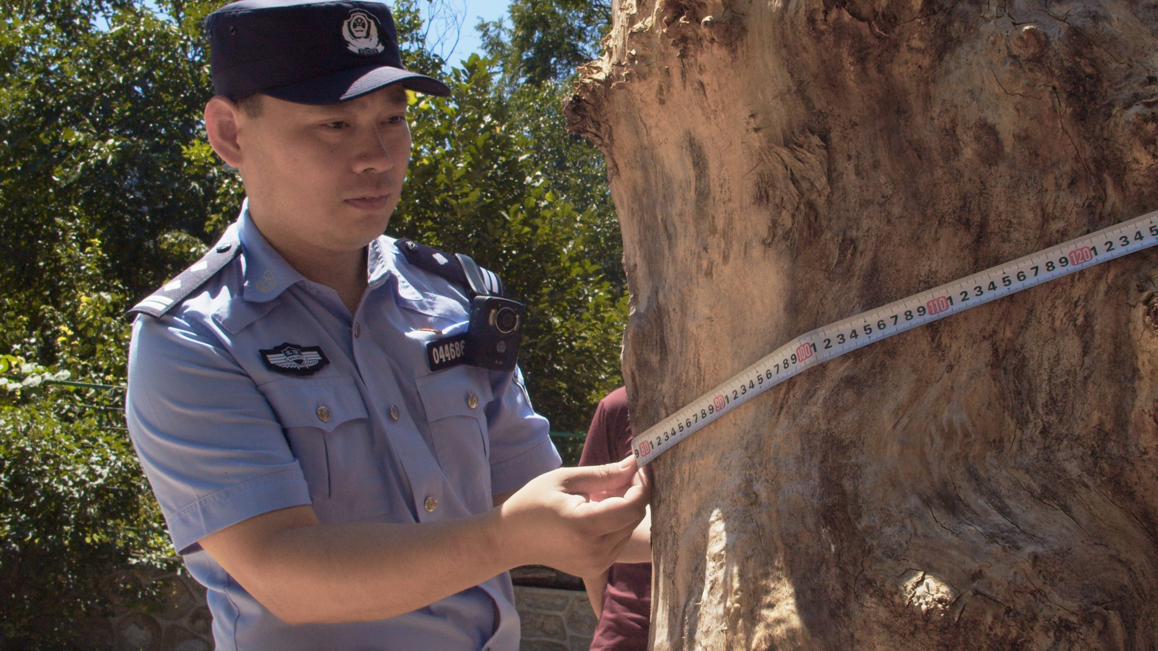 皇冠皇冠足球平台
_森林警察韩孟祺:乔装成驴友潜伏密林中皇冠皇冠足球平台
,抓获“粘鸟”嫌疑人