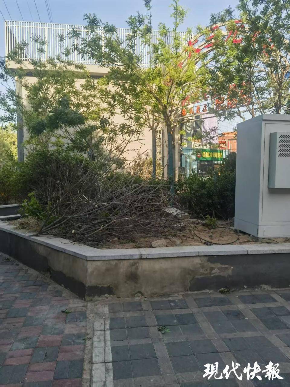 皇冠信用盘在哪里开通
_石家庄被家暴女子驾车逃跑致丈夫身亡皇冠信用盘在哪里开通
,一审以故意杀人罪获刑11年