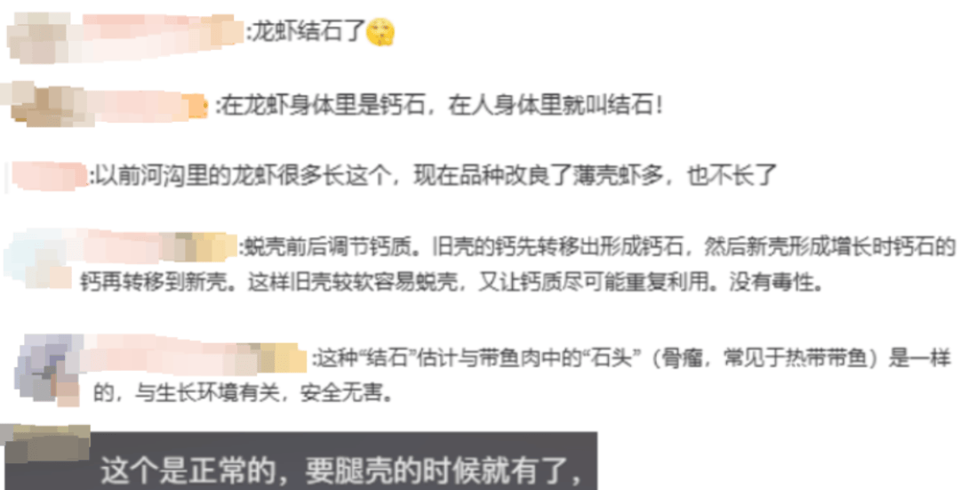 皇冠信用网代理流程
_女子吃小龙虾竟剥出多颗珠子皇冠信用网代理流程
,网友:这是长结石了吧丨有话聊