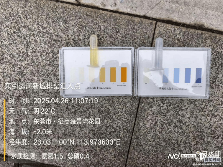 皇冠信用网哪里申请_东莞寒溪河出现大片死鱼皇冠信用网哪里申请！官方回应：天气原因