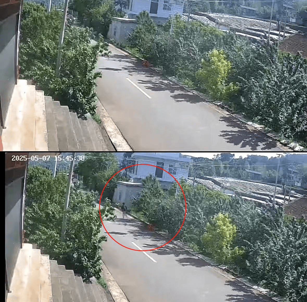 皇冠信用账号申请
_老人摘十斤樱桃摆路边被人顺走皇冠信用账号申请
,家属发布监控画面曝光:已报警,不要赔偿要态度