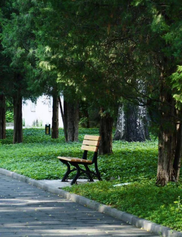 如何注册皇冠足球代理
_最便宜收费公园?北京一公园门票仅0.2元如何注册皇冠足球代理
,季票价3元