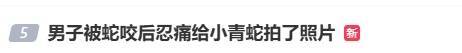 皇冠信用网登3代理_随意放生“五步蛇”?被毒蛇咬伤皇冠信用网登3代理,这一动作能“保命”