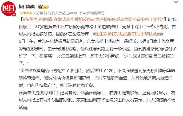 皇冠信用网登3代理_随意放生“五步蛇”?被毒蛇咬伤皇冠信用网登3代理,这一动作能“保命”