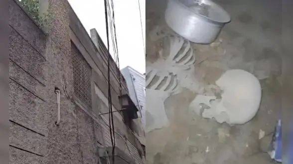 介绍个信用网网址_印度一男子寻板球介绍个信用网网址,意外发现隐藏十年之久的白骨,通话记录帮助锁定死亡时间