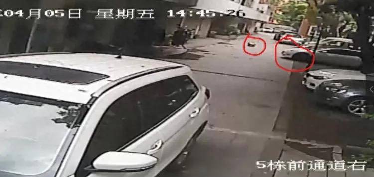 皇冠信用网APP下载_特斯拉碾压幼童案二审维持原判皇冠信用网APP下载，车主获刑10个月 车主：将考虑上诉
