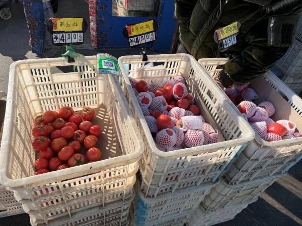 皇冠信用出租代理_寒潮下实地探访北京新发地:西红柿变身“蔬菜刺客”皇冠信用出租代理,批发商直呼“还得涨”