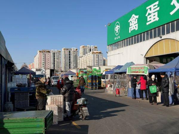 皇冠信用出租代理_寒潮下实地探访北京新发地:西红柿变身“蔬菜刺客”皇冠信用出租代理,批发商直呼“还得涨”