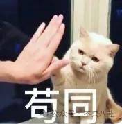 皇冠信用网平台出租_要结婚了皇冠信用网平台出租?恋情居然瞒了整整六年......