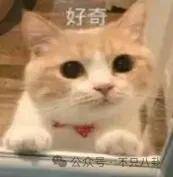 皇冠信用网平台出租_要结婚了皇冠信用网平台出租?恋情居然瞒了整整六年......