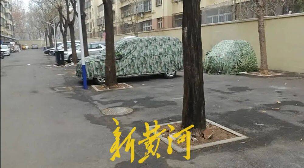 皇冠信用盘代理申条件_济南一市民反映:未缴80元停车服务费车辆难出小区皇冠信用盘代理申条件,多方回应来了
